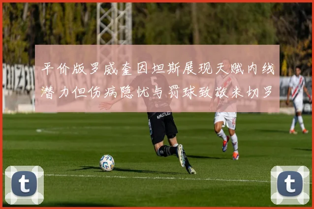 平价版罗威奎因坦斯展现天赋内线潜力但伤病隐忧与罚球致敬米切罗